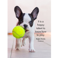 24 Animal Inspirations - Live Love Bark