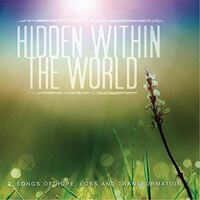 Hidden Within The World