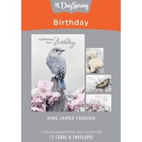Boxed Cards Birthday - Touch of Colour