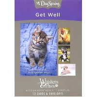 Boxed Cards Get Well Whisker & Paws