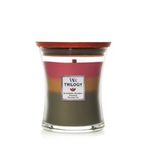 WoodWick Candle Medium - Hearthside Trilogy