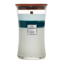 WoodWick Candle Large - Icy Woodland Trilogy