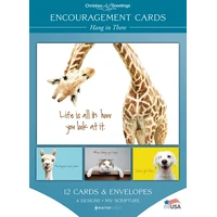 Boxed Cards Encouragement Hang in There