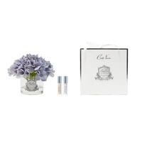Hydrangeas Blue Blush Perfumed Flower