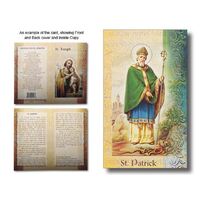 Biography Mini - St Patrick