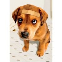 Card - Get Well Soon Puppy