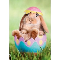 Card - Easter