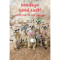 Card - Goodbye Good Luck Meerkats