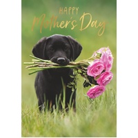 Card - Mother's Day