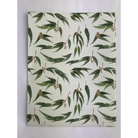 Wrapping Paper - Gum Leaves