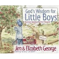God's Wisdom for Little Boys: Character Building Fun From Proverbs