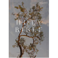 NRSV Catholic Edition Bible, Eucalyptus Paperback