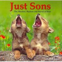 Just Sons - The Mischief, Mayhem and Marvel of Boys