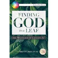 Finding God in a Leaf : The Mysticism of Laudato Si'