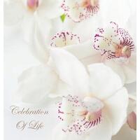 Celebration of Life, In Loving Memory Guest Book