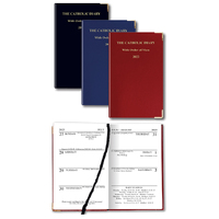 2025 Catholic Diary - With order of Mass - 95 x 145mm
