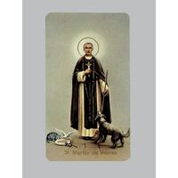 Holy Card 400  - St Martin