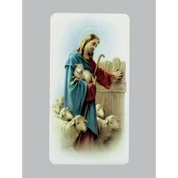 Holy Card  Alba  - Shepherd