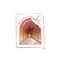 Lapel Pin Red Dove