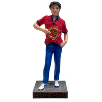 Statue 23cm Resin - St Carlo Acutis