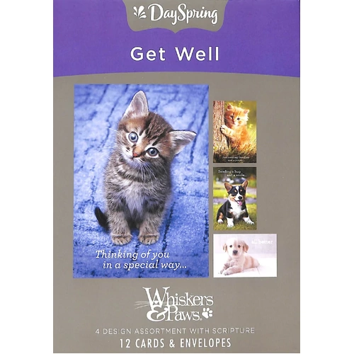 Boxed Cards Get Well Whisker & Paws