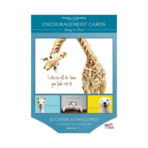 Boxed Cards Encouragement Hang in There