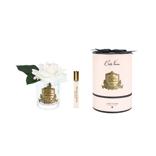 Single French Blush Perfumed Flower