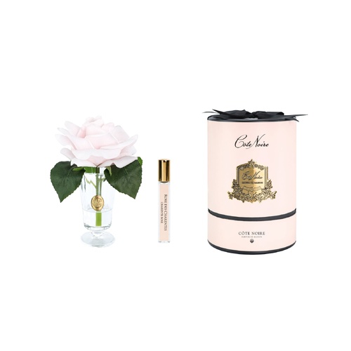 Charente Rose French Pink Perfumed Flower