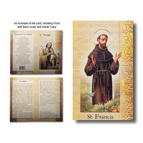 Biography Mini - St Francis of Assisi