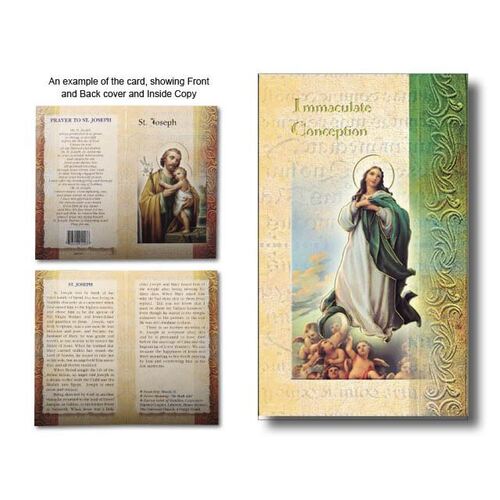 Biography Mini - Immaculate Conception