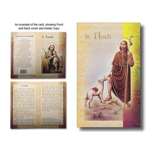 Biography Mini - St Roch
