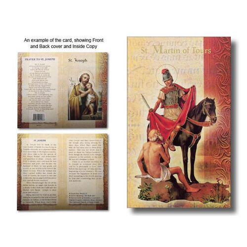 Biography Mini - St Martin of Tours