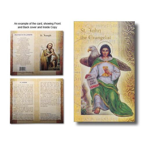 Biography Mini - St John the Evangelist