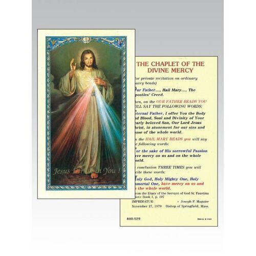 Holy Card 800  - Divine Mercy