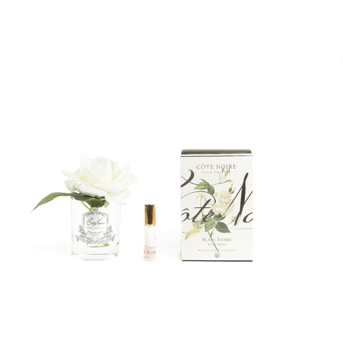 Single French Rose Ivory Perfumed Flower
