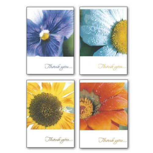Boxed Cards Thank You Many Thanks