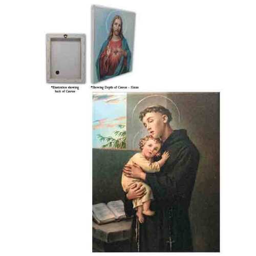 Canvas Prints - St Anthony