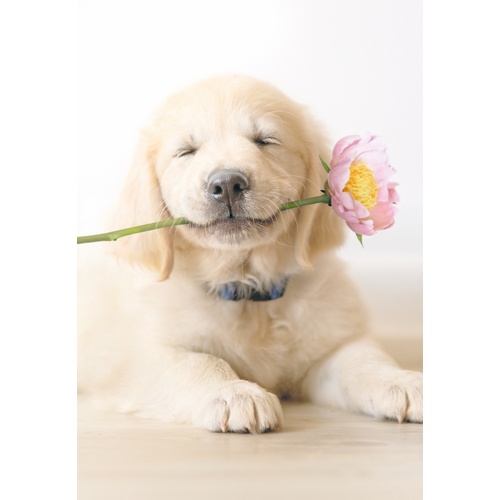 Card - Mother's Day