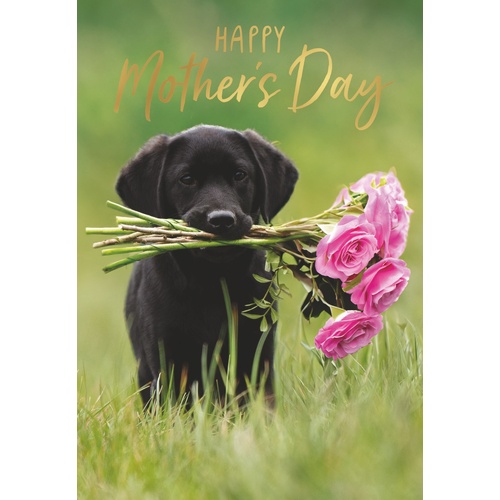 Card - Mother's Day