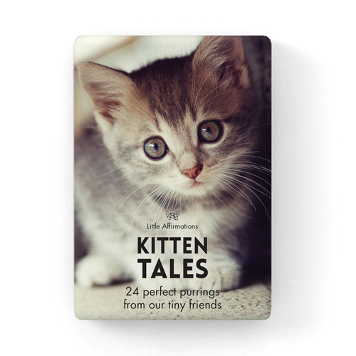 24 Animal Inspirations - Kitten Tales