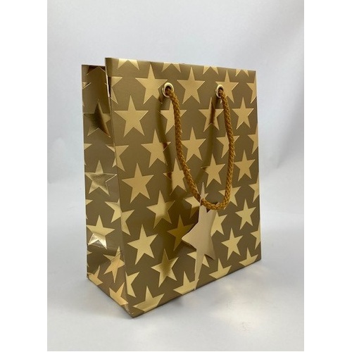 Gift Bag - Small Gold Star