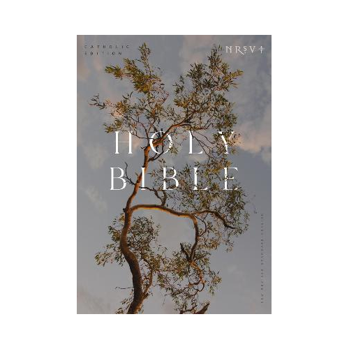 NRSV Catholic Edition Bible, Eucalyptus Paperback