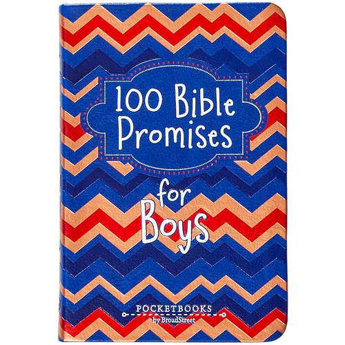 100 Bible Promises for Boys