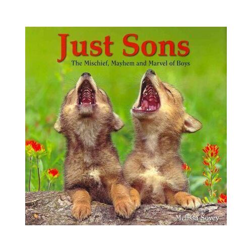 Just Sons - The Mischief, Mayhem and Marvel of Boys