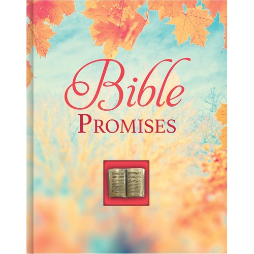 Deluxe Prayer Book - Bible Promises
