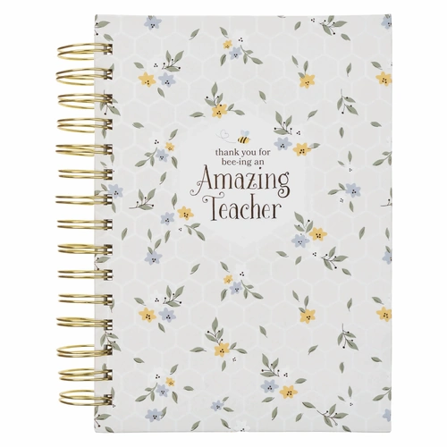 Journal: Amazing Teacher