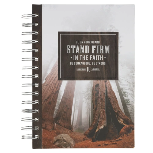 Journal: Stand Firm Righteous Man