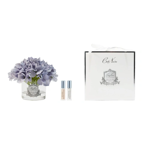Hydrangeas Blue Blush Perfumed Flower