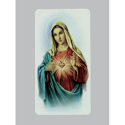 Holy Card Alba  - S.H.M