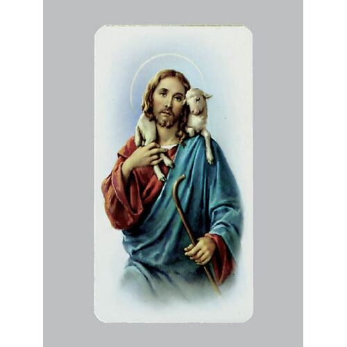 Holy Card Alba - Good Shepherd